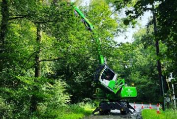 200 trees being felled due to ash dieback disease