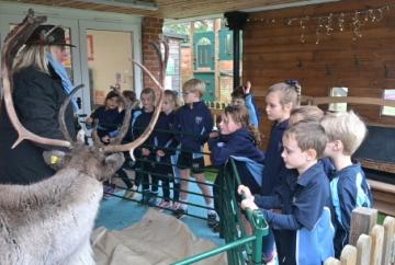 Pupils learn all about reindeer