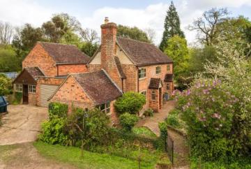 Plantsman’s paradise where vibrant memories are made