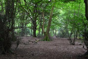 Treasured fairyland of fine and familiar that brings hope for future
