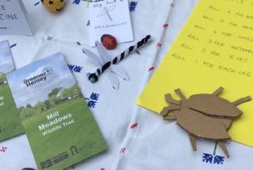 Ways to discover joy of nature this summer