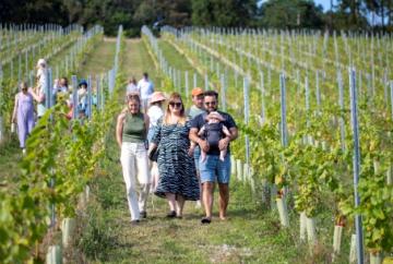 Stonor Valley Wine Farm 2708