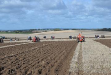 Furrowing the leader!