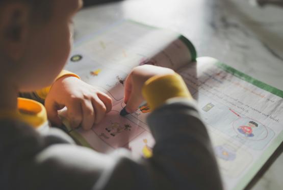 Child colouring, work, archive, school, SEND Child colouring, work, archive, school, SEND