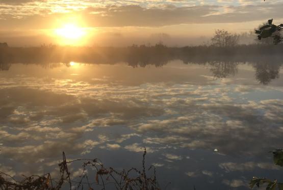 River writes: It&rsquo;s not na&iuml;ve to re-evaluate approach to nature