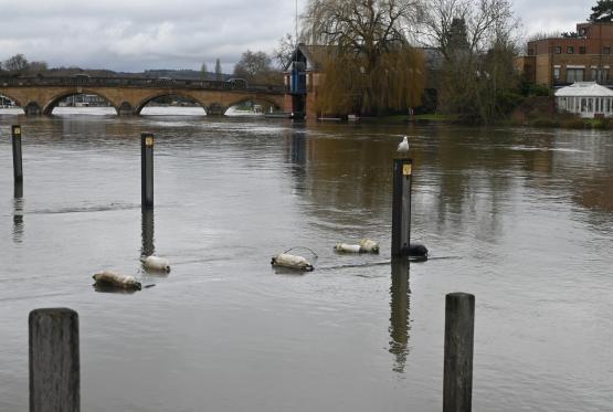 High river levels in Henley