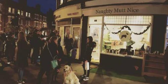 Halloween trick or treat for your dressed-up dogs