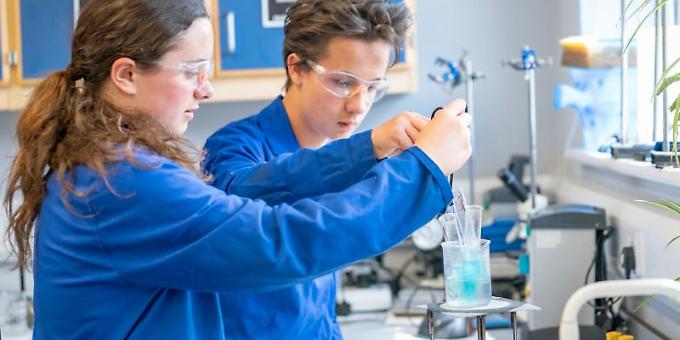 Pupils encouraged to be curious