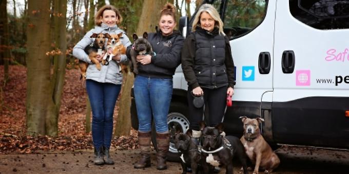Whether it is walking your dog or pet travel, we're the real deal