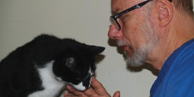 Mobile vet can come and help your pets