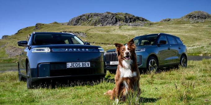 Climate function to keep your dog cool in car