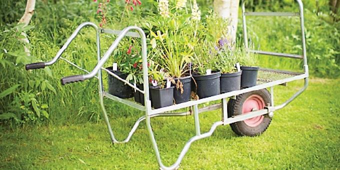 Wholesale plant nursery is opening to the public