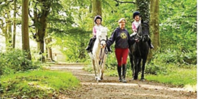 Walk in the woods is on special offer next month