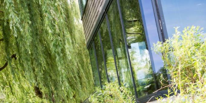 Thames Room enjoys stunning views