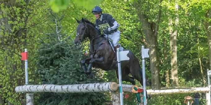 Novice horse and experienced rider make a strong showing