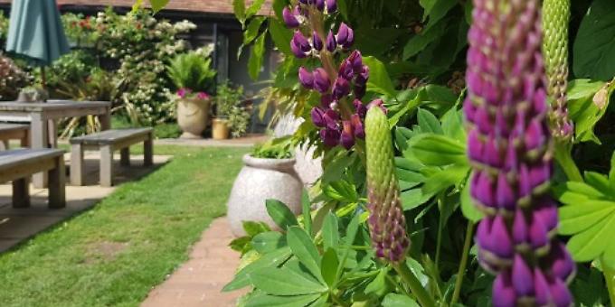 ‘Hard yards’ in our pub garden are bearing fruit