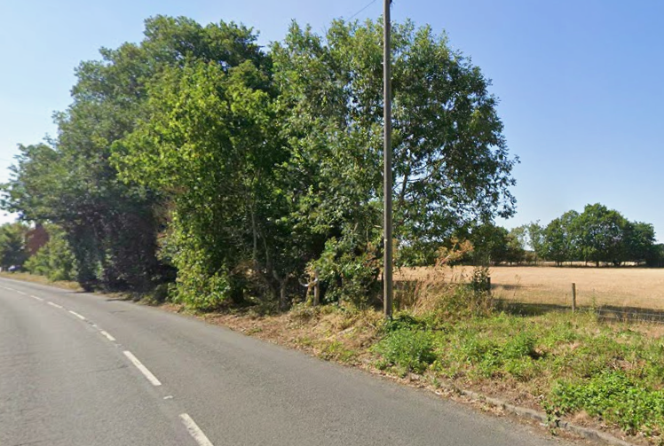 ‘Irreplaceable’ English Oaks survive new homes bid by historic countryside village