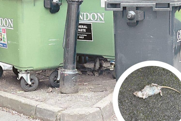 Calls for action as long-running rat infestation persists after a year
