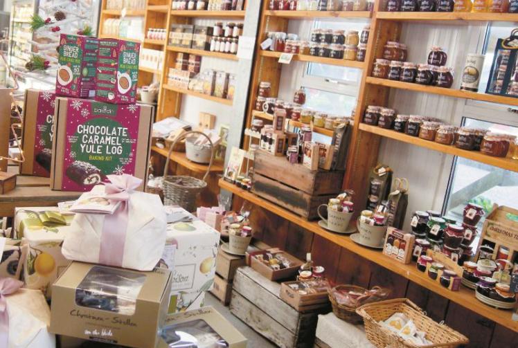 Feeding Time Blog: Festive foodie finds