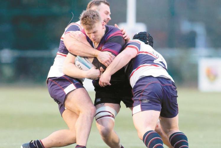 Maidenhead concede three late tries in surprise Shield exit to Westcliff