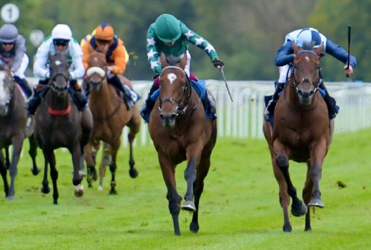 False start chaos at Windsor Races sees five jockeys banned