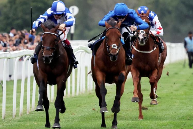 Outsiders Arabian Crown and Silawi upset the odds in feature races at Windsor