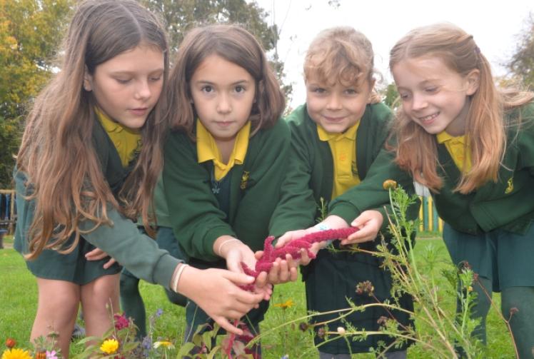 School’s wildlife pathway is now teeming with new life
