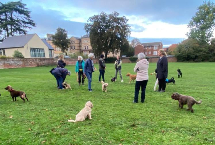 Footballers offered pitch after heated debate with residents over beauty spot