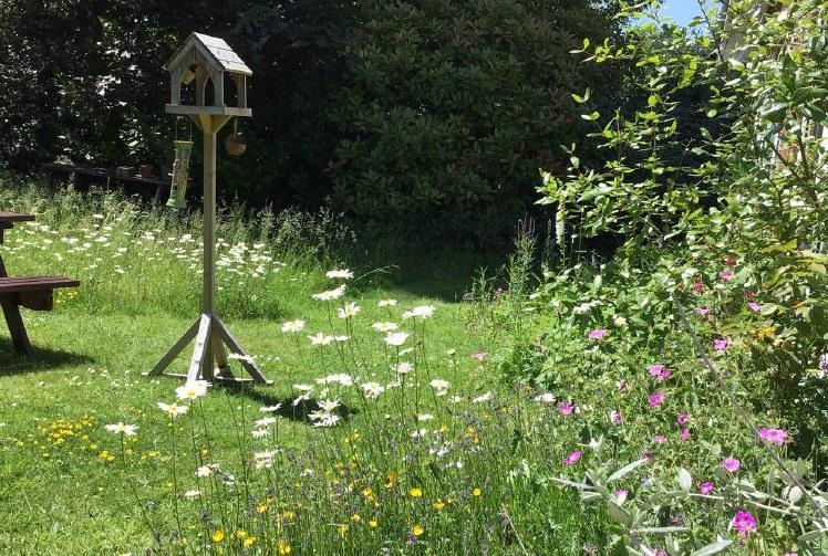 Look after plants and they will look after you