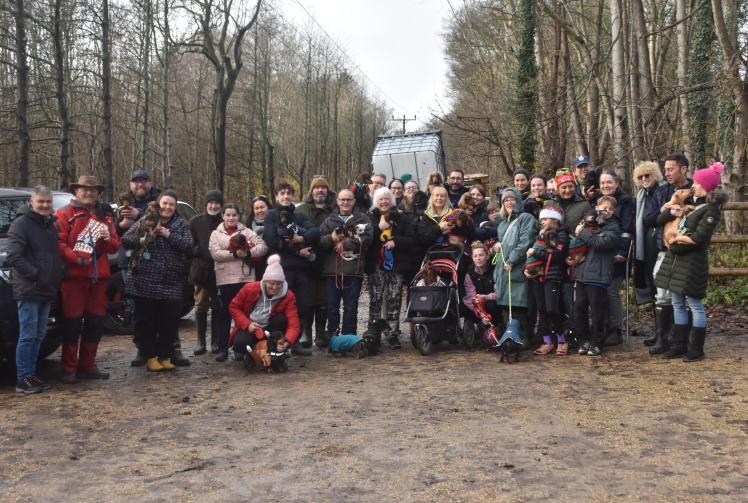 Festive walk for sausage dogs in ancient woodland