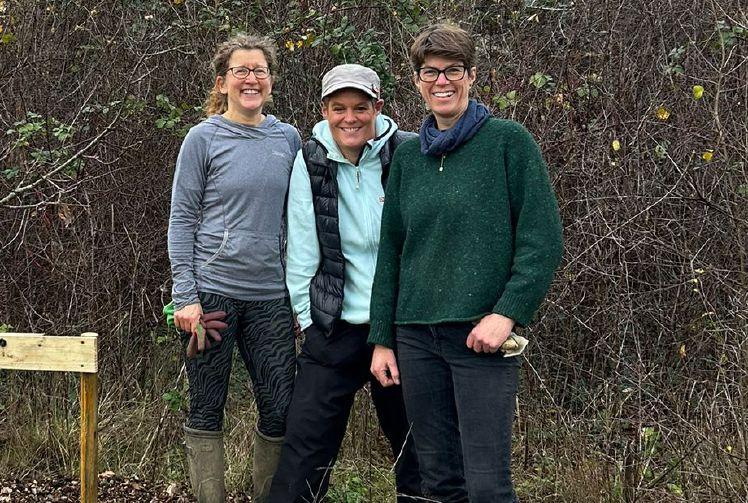 Festival plants tree as part of 50th year celebration