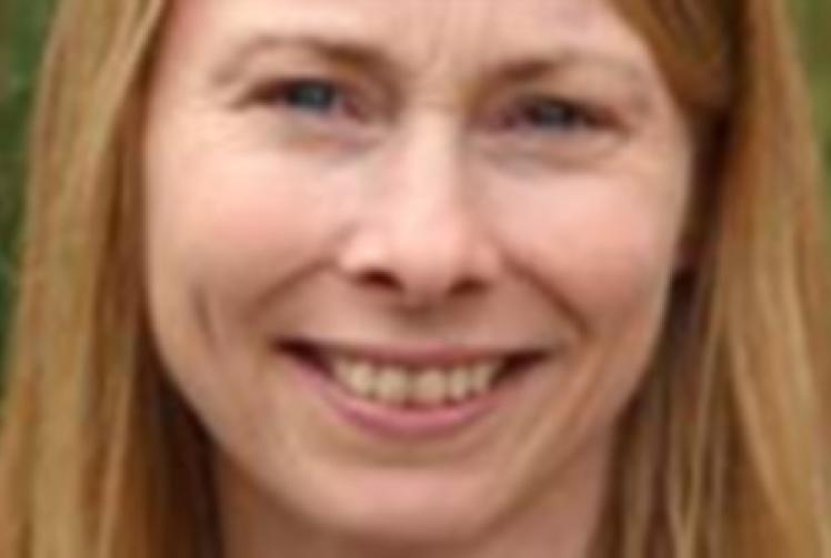 Talk on why castles aren’t all they seem