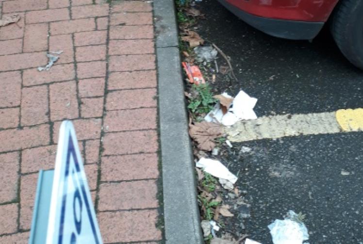 Why do people drop their litter?