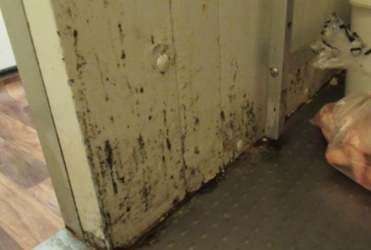 Restaurant fined £20,000 for breaking food hygiene and health and safety laws