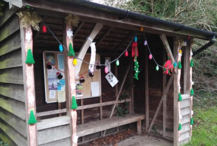 Wool you believe it?