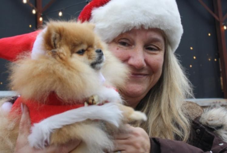 Festive fancy dress dog show