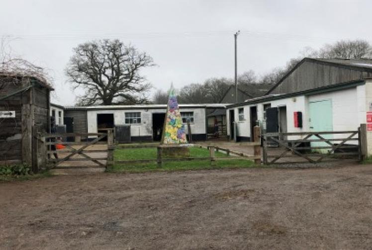 Horse rider badly hurt in accident