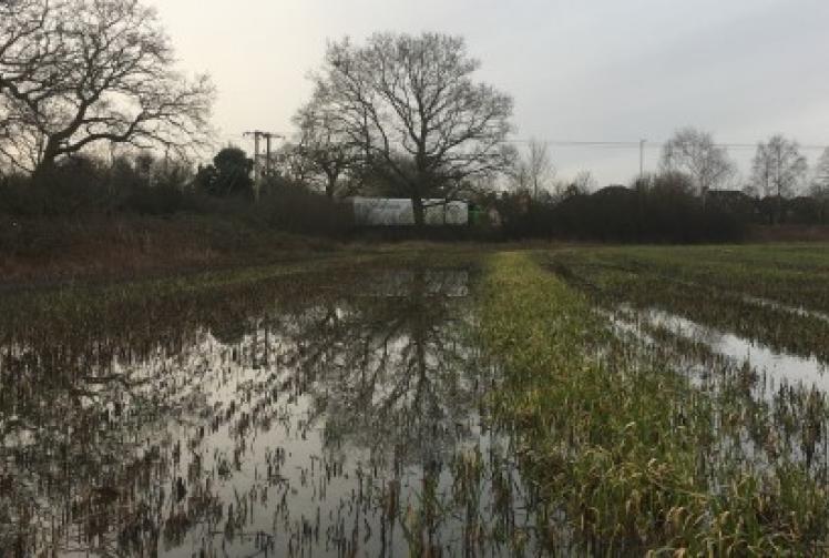 New homes will raise risk of flooding, say residents