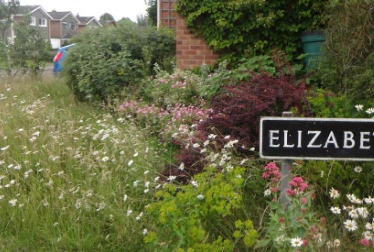 Woman buzzing after bee- friendly garden voted best