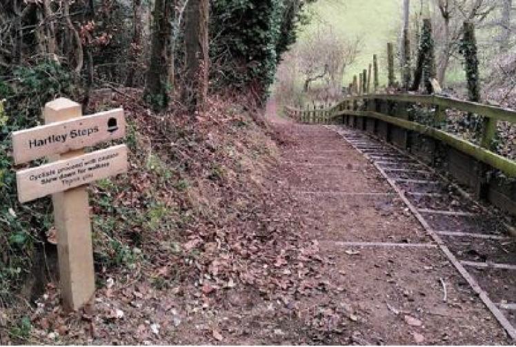 Campaigner, 90, has path steps named in his honour