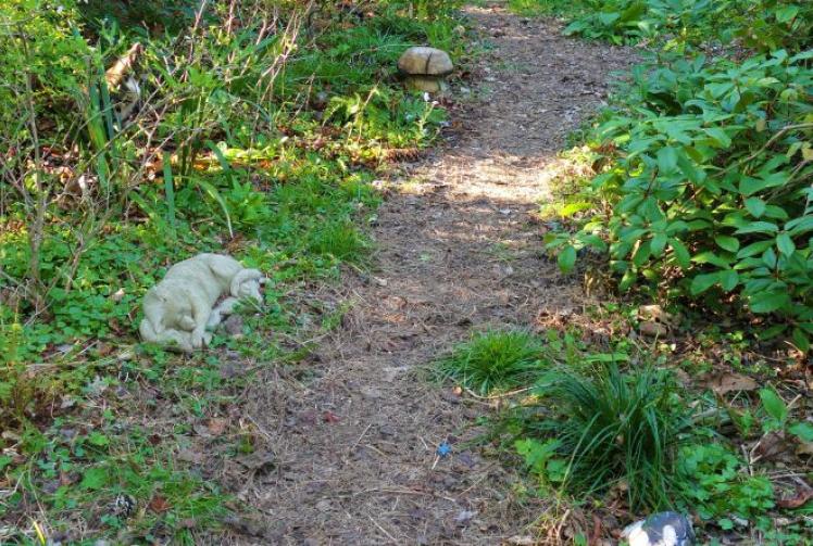 Whiling away the hours listening to the drum beat of woodpeckers