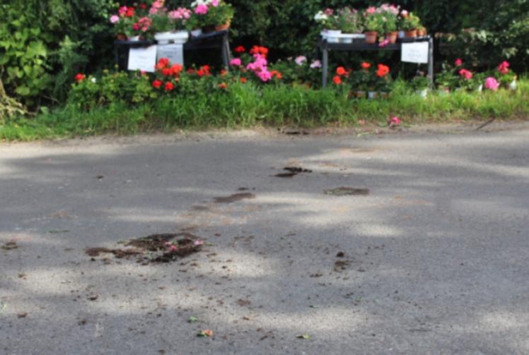 Where are police say pair after driver hits plant stall