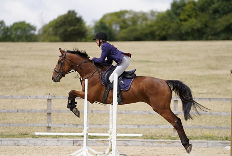 ‘Batgirl’ and Princess the pony win double in a week