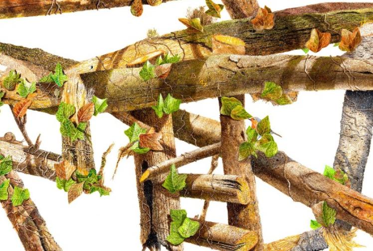 Library&rsquo;s artist-in-residence looks back at year of paintings