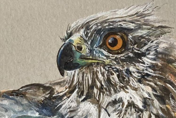 Guild shows life in art is never ending story