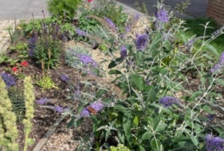 Town won't enter bloom until 2025 