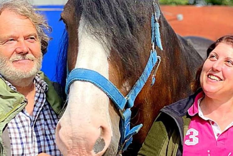 Harry the horse is champion just months after surgery