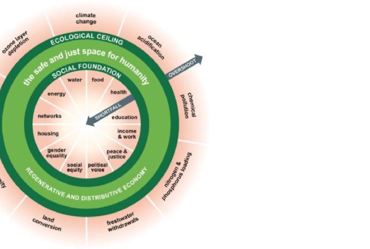 Expert advice we can all understand