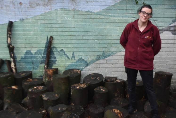 Rare newt found at nursery