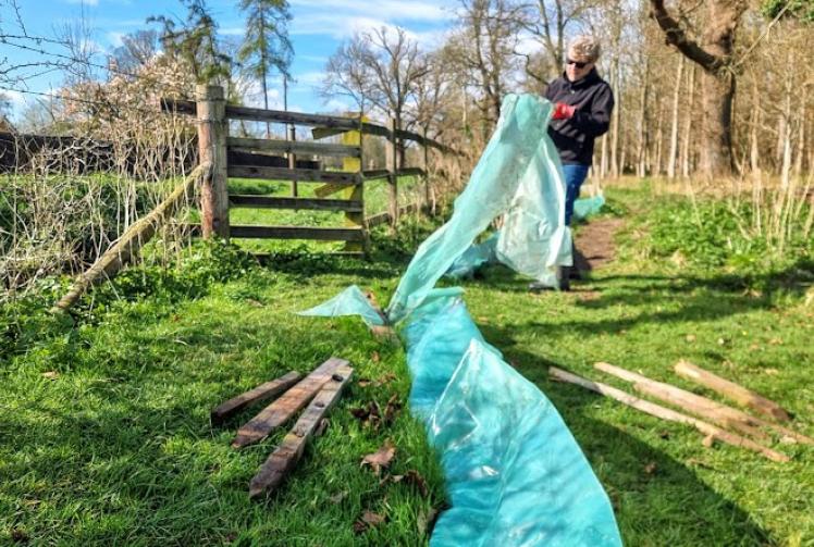 Toad patrol volunteers finish after record-breaking year